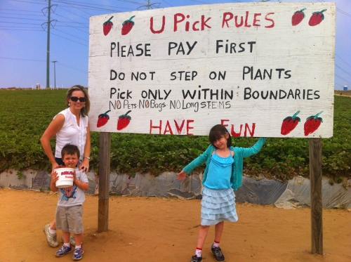 Strawberry picking in Carlsbad near Legoland California