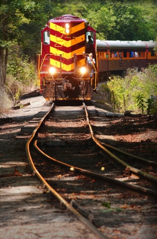 Great Smoky Mountains Railroad ~ Train rides with kids