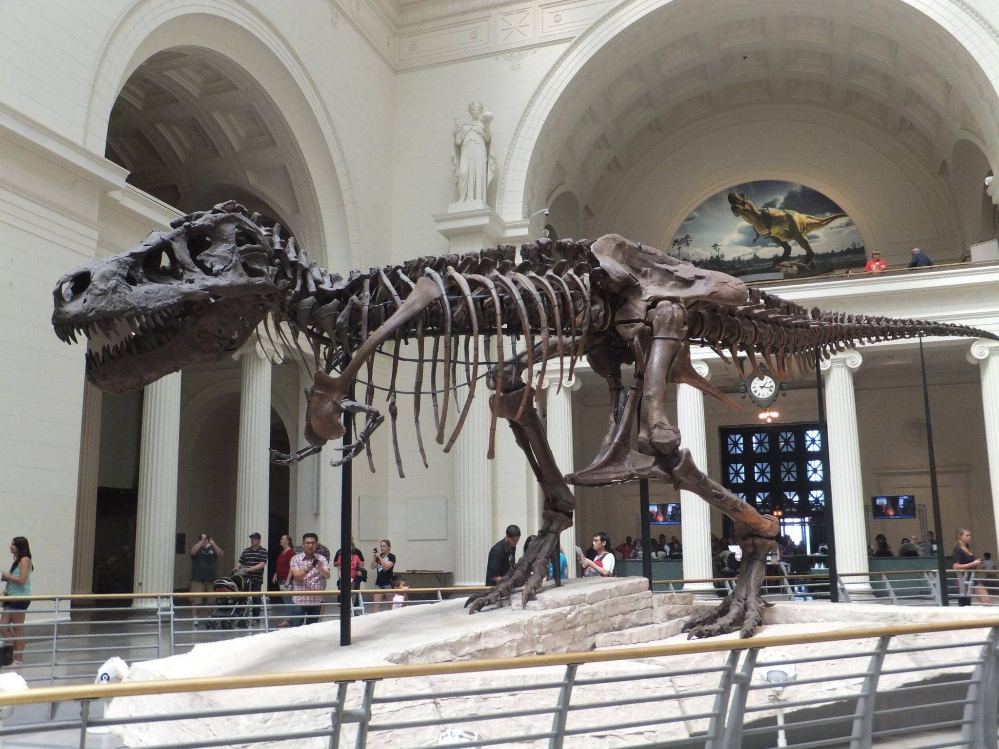 Sue the Tyrannosaurus Rex at Field Museum in Chicago