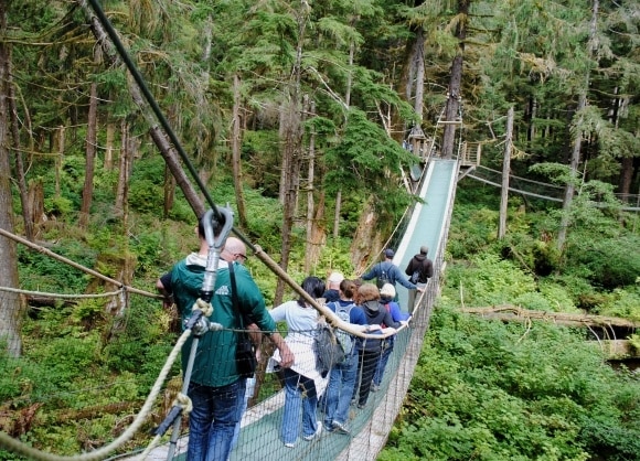 Looking for bears in Tongass National Park