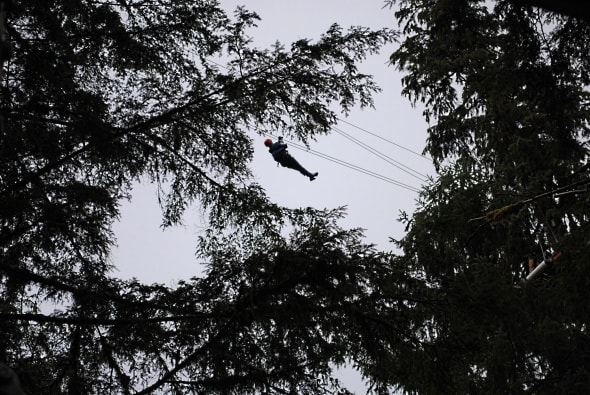 Celebrity Cruise Line zip-lining excursion near Ketchikan