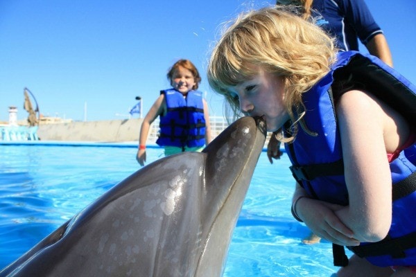 Dolphin Encounter