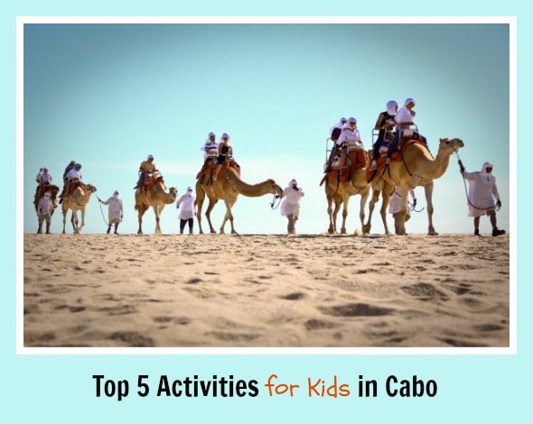 Outback and camel safari in Los Cabo (Photo credit: Cabo Adventures)