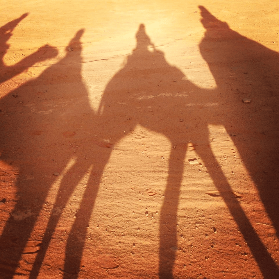 Camel ride in the Wadi Rum Desert, Jordan