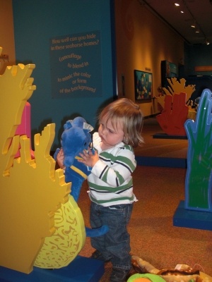 Toddler playing at Birch Aquarium in La Jolla