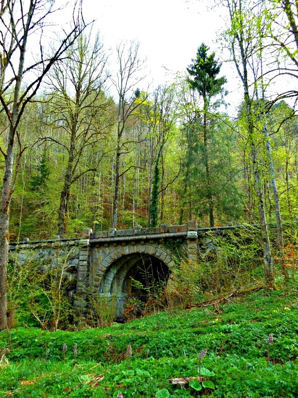 Exploring Germany's Black Forest with Viking River Cruises (Photo credit: Colleen Lanin)