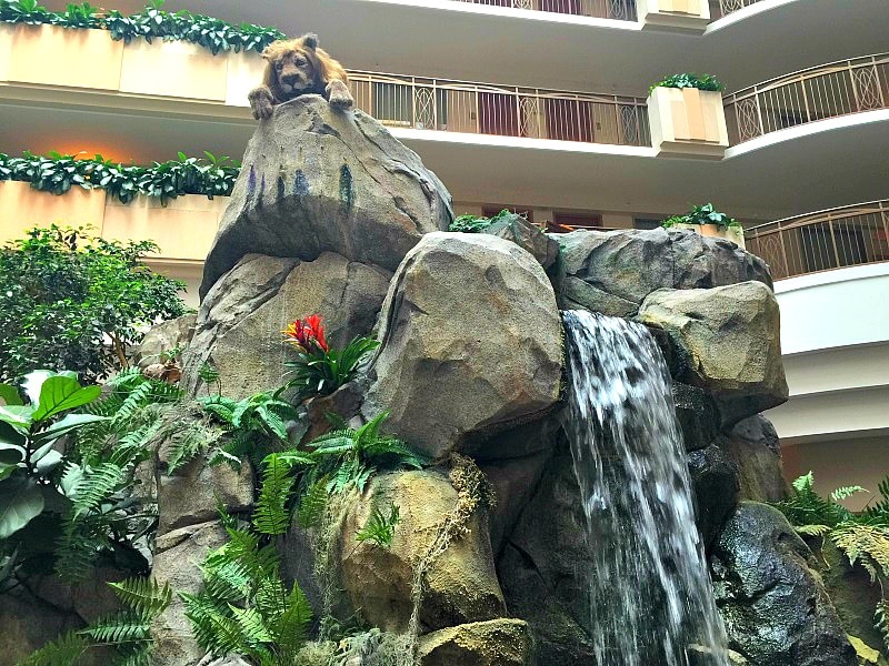 This animatronic lion delights children with its regal-sounding roar at Embassy Suites Anaheim South