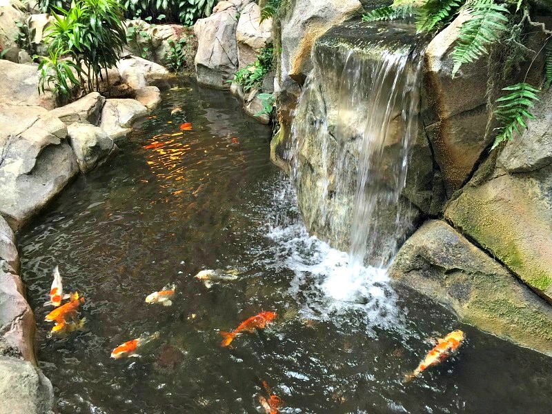 Koi ponds and waterfalls make Embassy Suites more fun for families