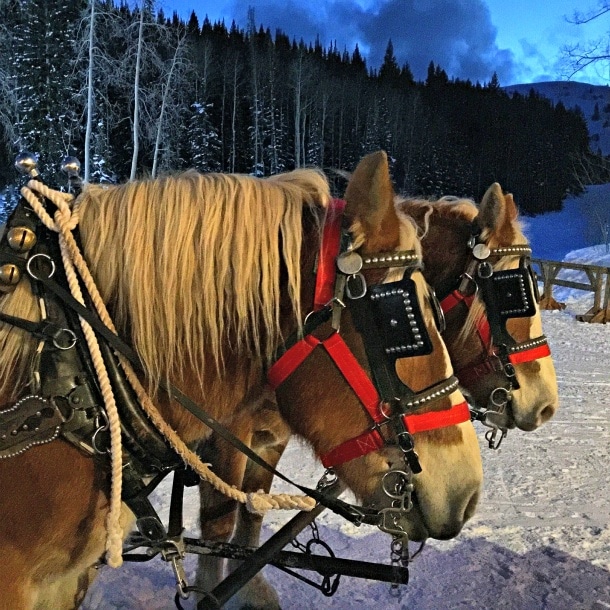 Fireside Dining experience and sleigh ride at Empire Canyon Lodge ~ Delicious Park City Restaurants for Families