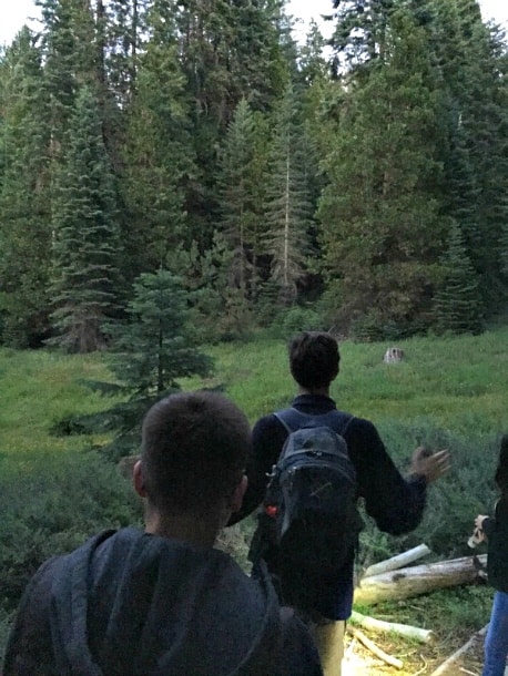 A guided Tenaya Lodge night hike is a great way to learn about Yosemite National Park