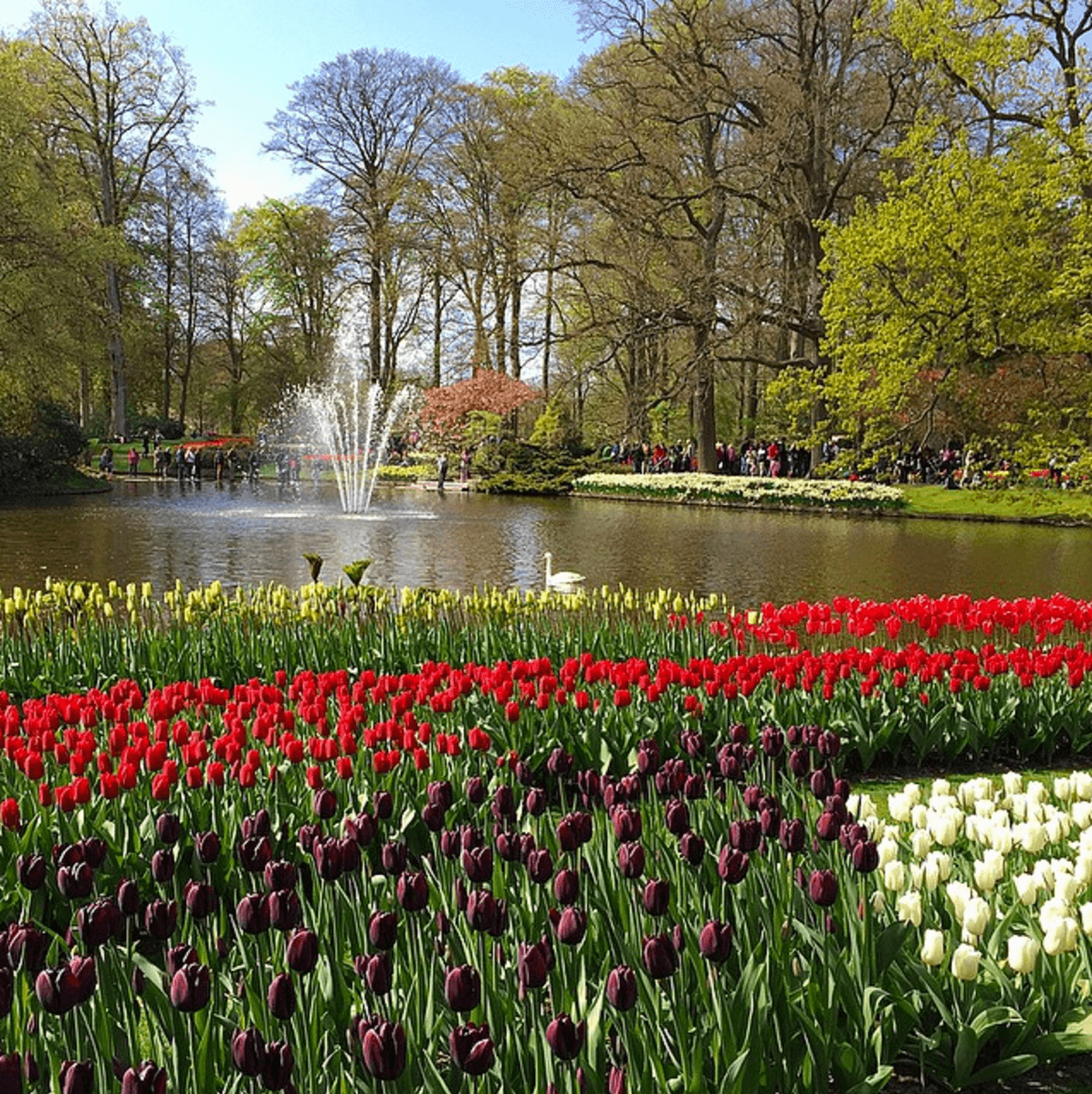 Fountains and ponds add to the beauty at Keukenhof Gardens