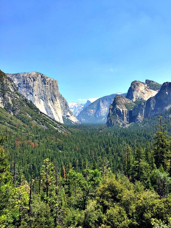 Yosemite National Park for First-Timers