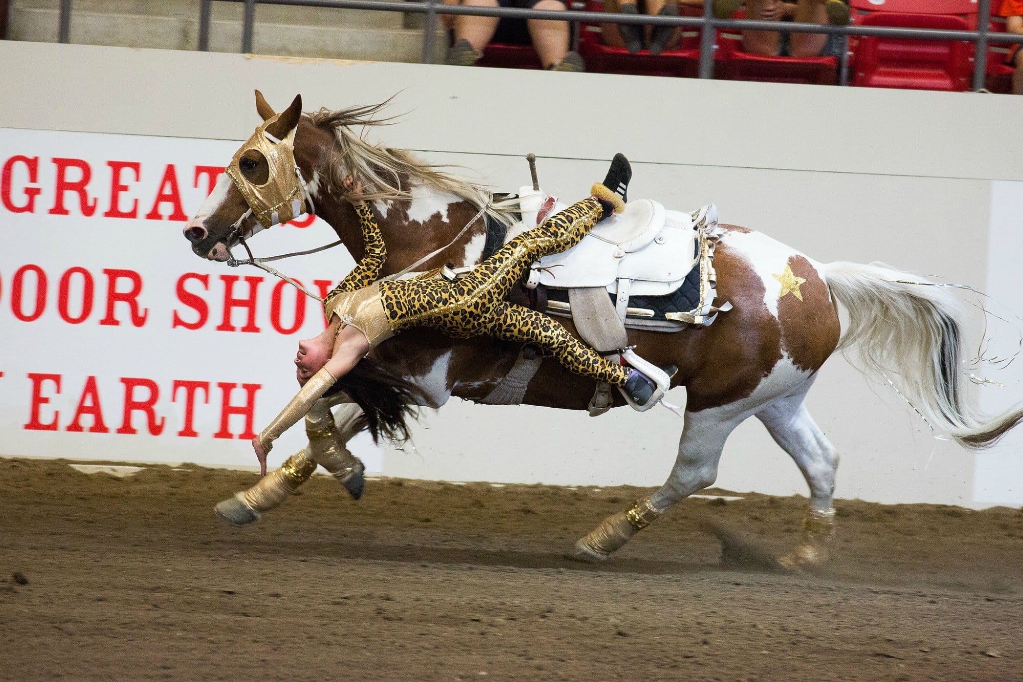 Female trick rider at the Calgary Stampede ~ Calgary Stampede with kids