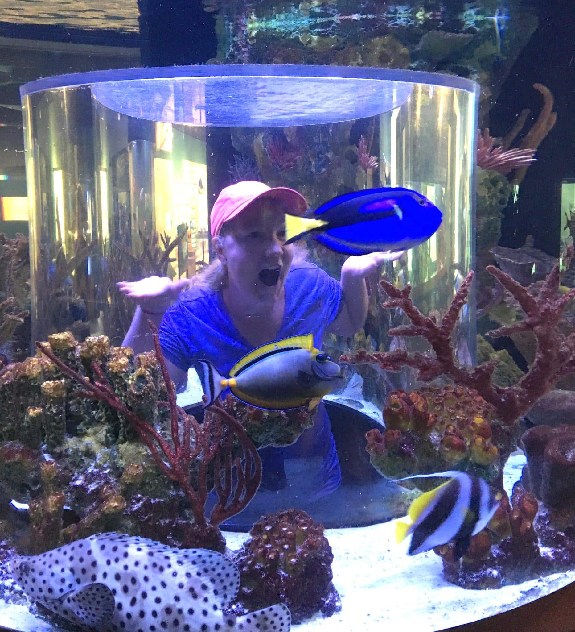 Finding Dory at the South Florida Science Center and Aquarium ~ Fun Things to Do in Florida's Palm Beach County with Kids