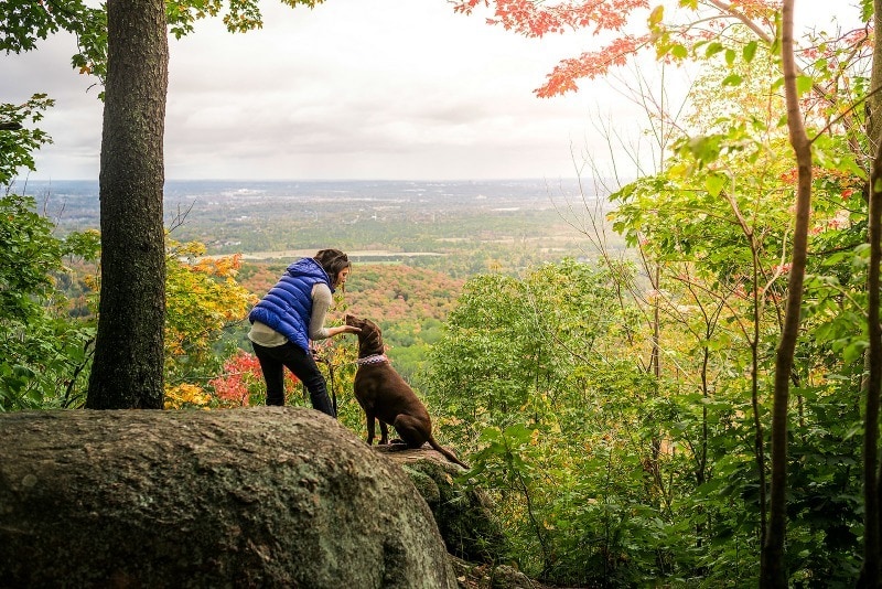 Gatineau Park ~ Why Visit Ottawa in Fall with Kids