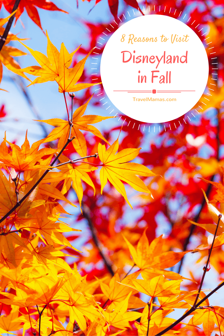 8 Reasons to Visit Disneyland in Fall