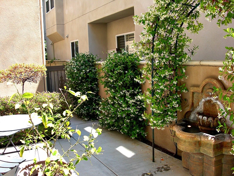 San Diego side yard