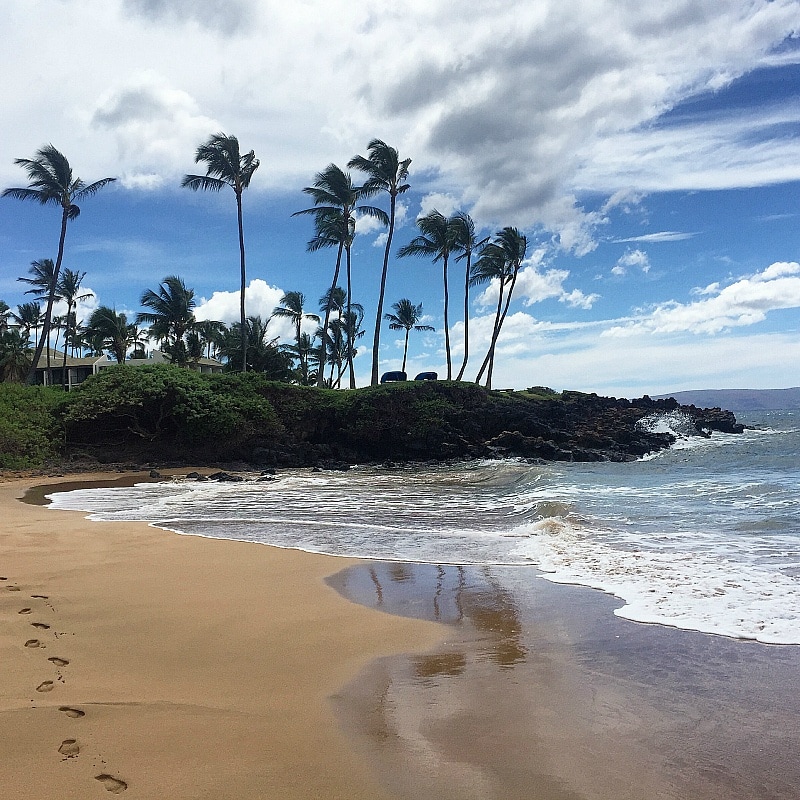 Ulua Beach is a short drive or walk away from Residence Inn Maui 