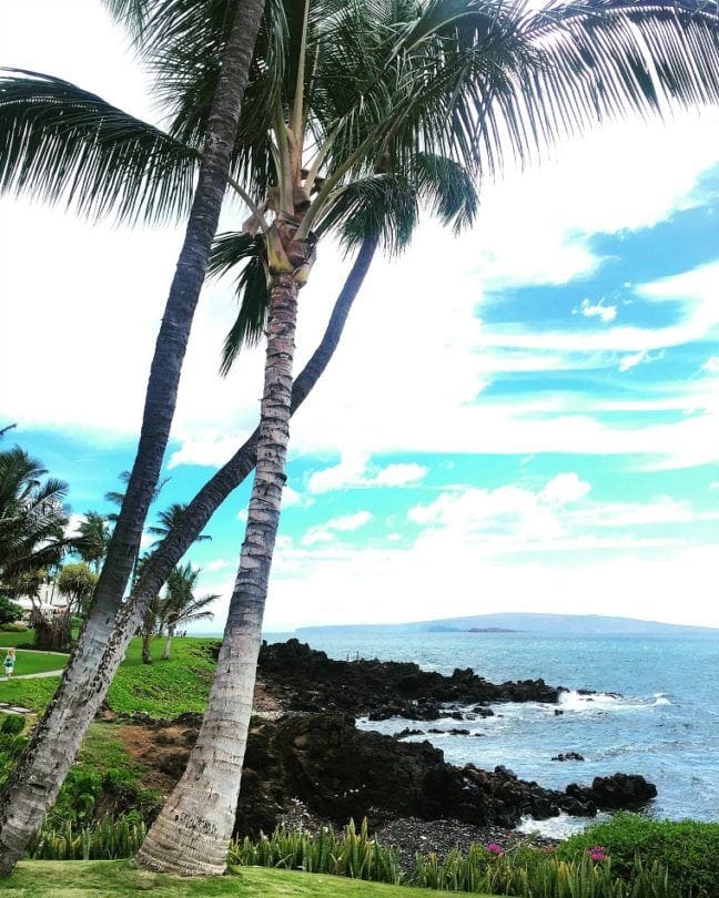 Enjoy the beauty of Maui without the hefty resort price tag when you stay at Residence Inn Maui, Wailea 