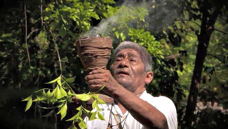 A shaman teaches the ancient Mayan tradition of collecting jungle honey (Screenshot from The Voyager with Josh Garcia)