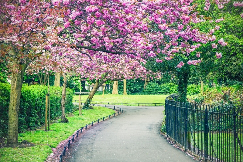 St. Stephen's Green park ~ How to Have the Perfect Day in Dublin, Ireland