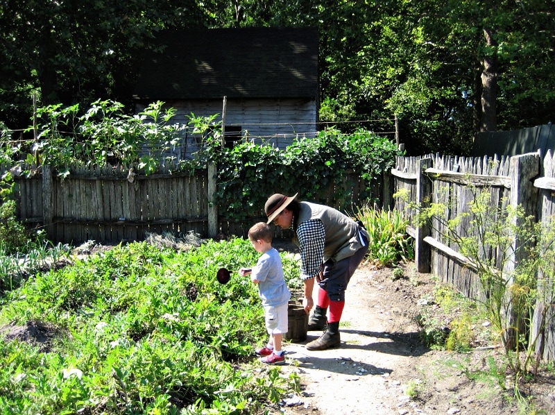 Watering the American Revolution Museum at Yorktown farm garden ~ History is fun for kids