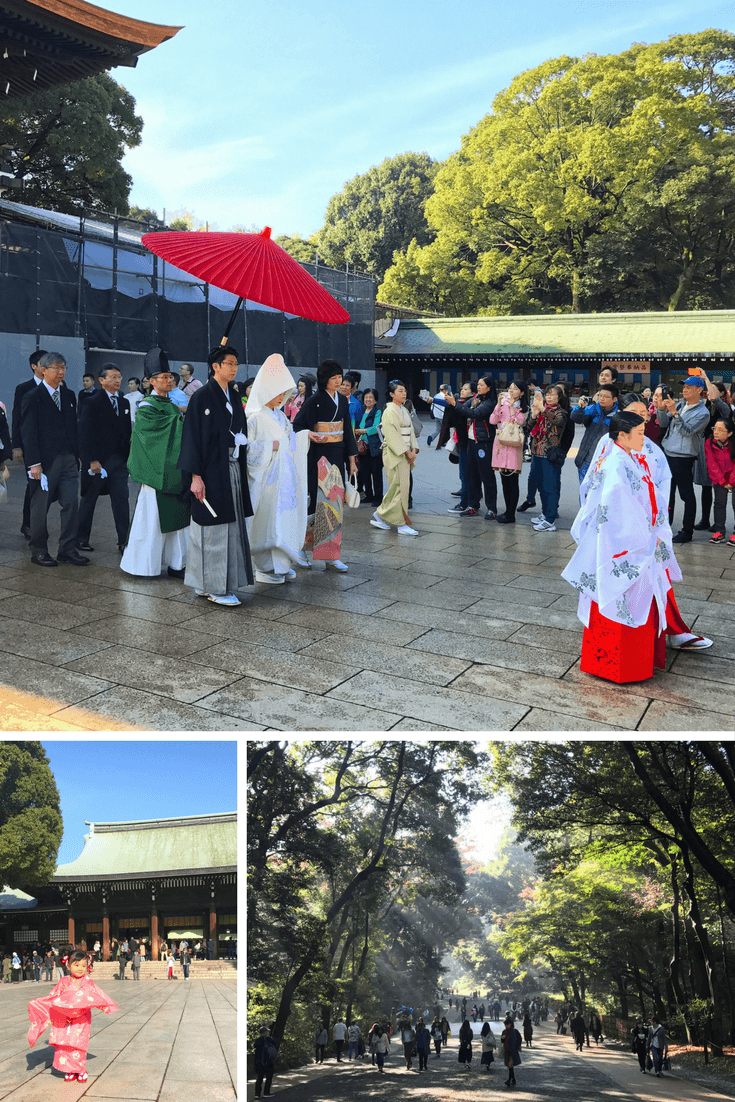 Scenes from Meiji Shrine in Tokyo