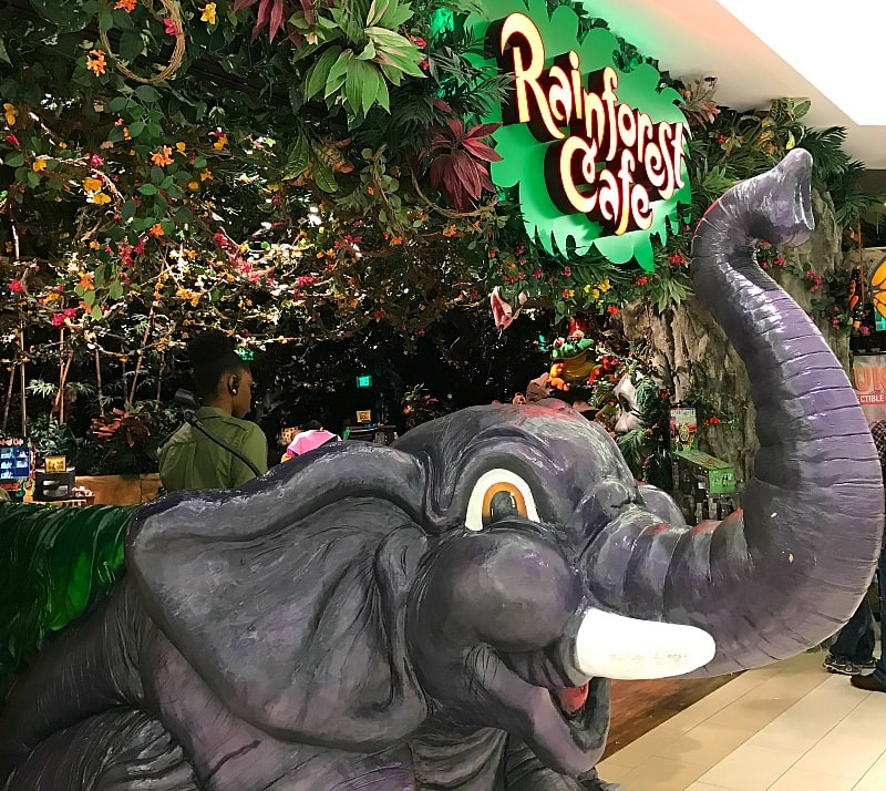 Rainforest Cafe 