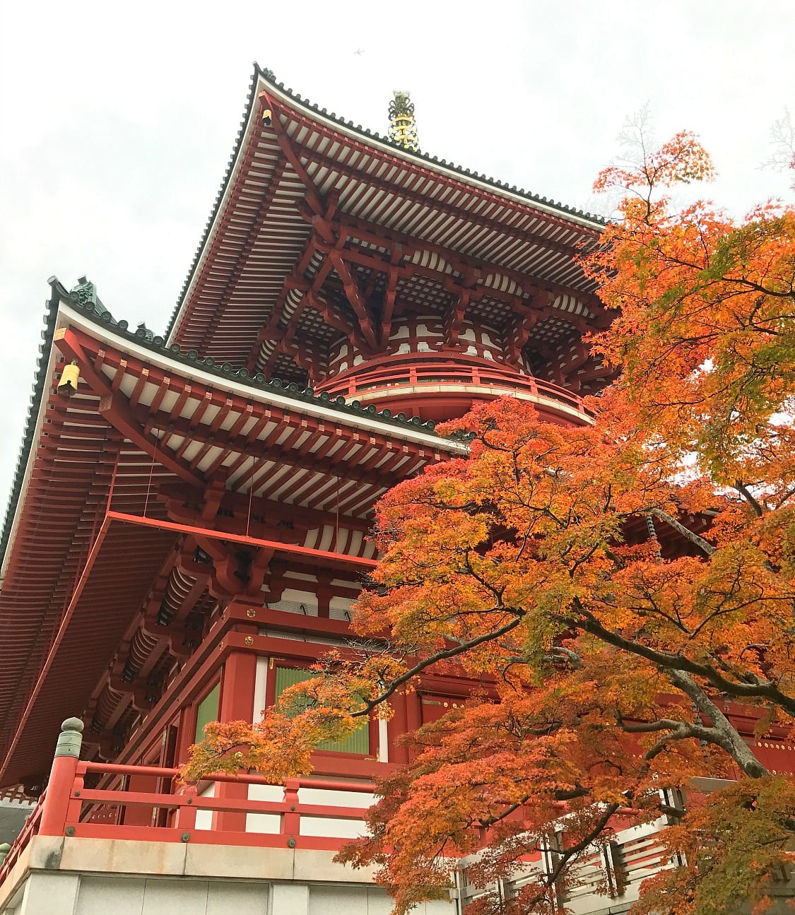 Naritasan Shinshoji Temple is a must-see in Narita ~ 5 Incredible Things to Do in Narita, Japan