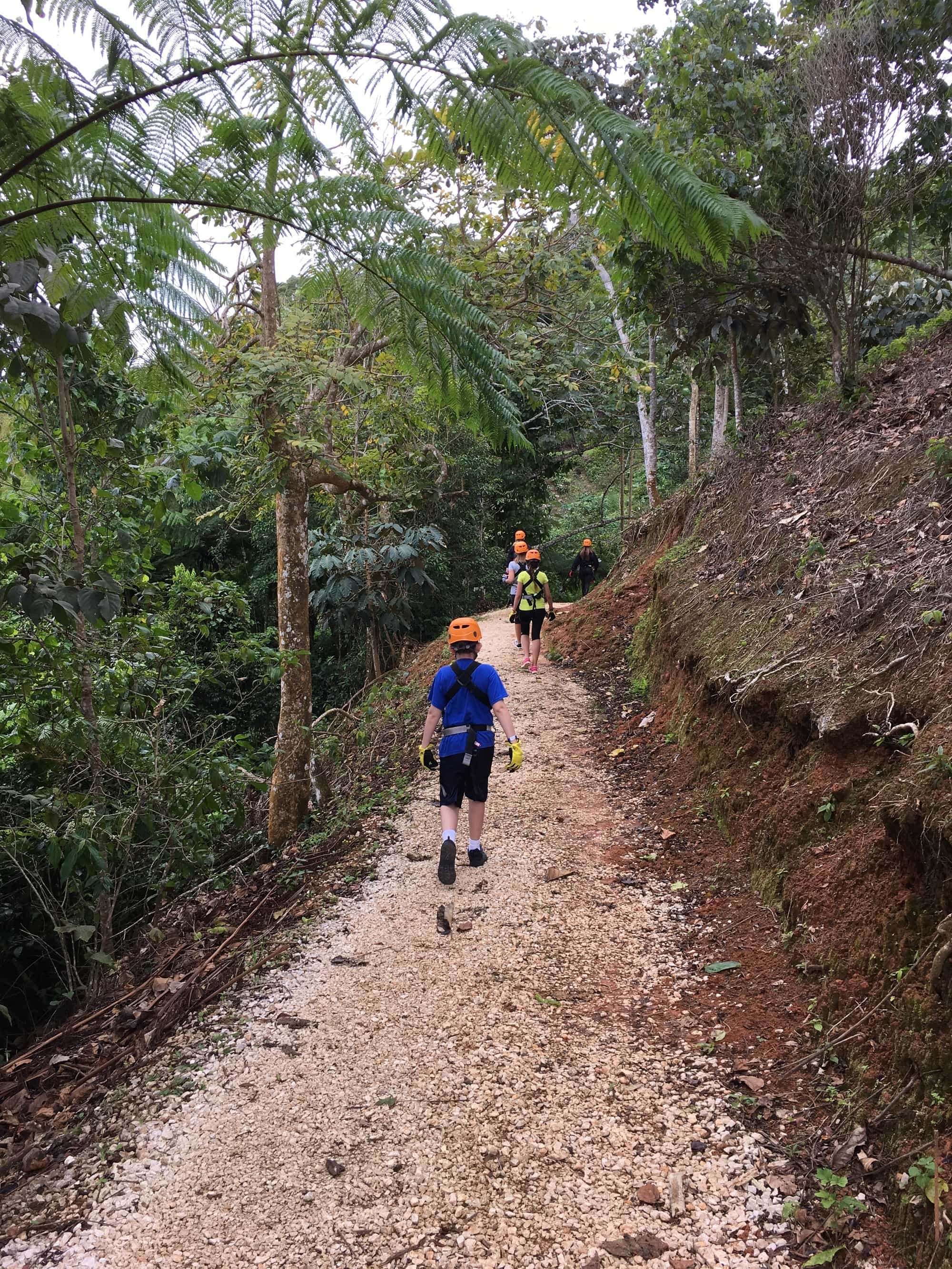 Toroverde Adventure Park hiking in Puerto Rico