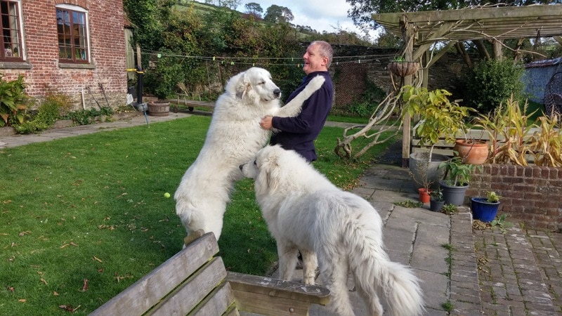 Try your turn as a housesitter and exchange for free lodging (Photo Credit: TrustedHousesitters)