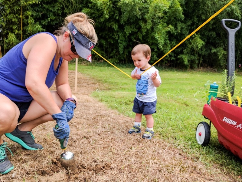 With TrustedHousesitters, our garden and home will be cared for while we're away ~ TrustedHousesitters review