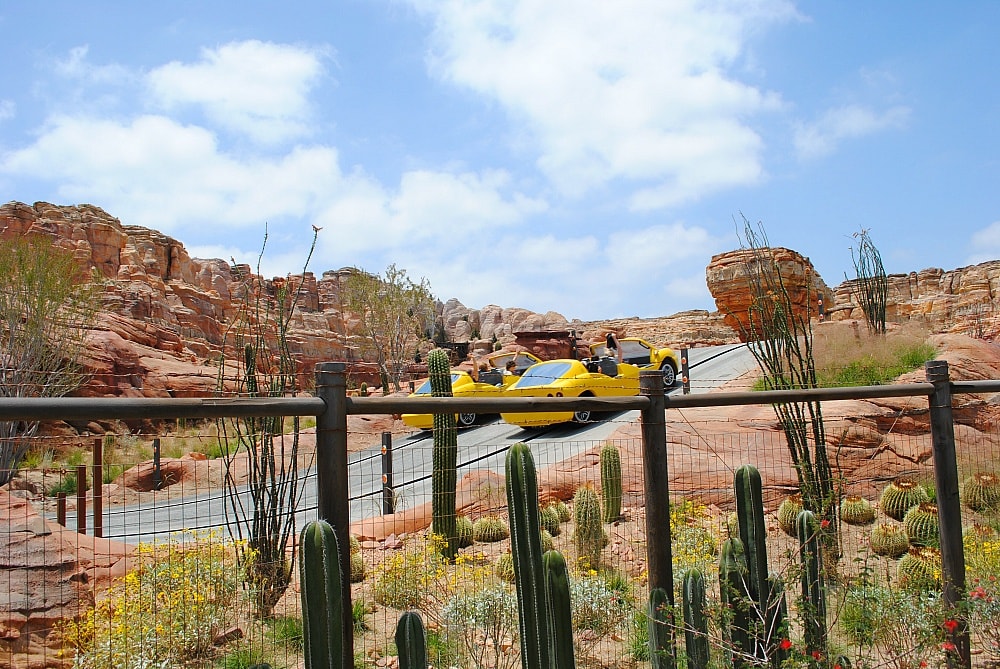 Radiator Springs Racers, one of the best rides at Disney California Adventure theme park