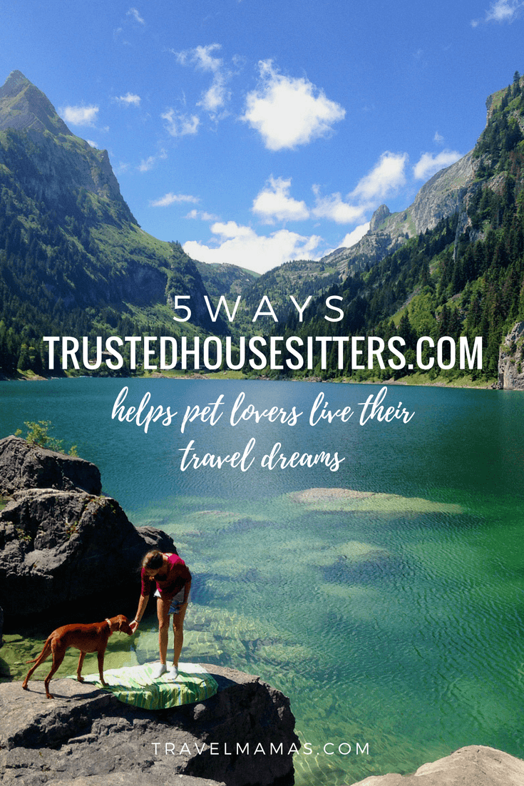 5 Ways TrustedHousesitters.com helps pet lovers live their travel dreams