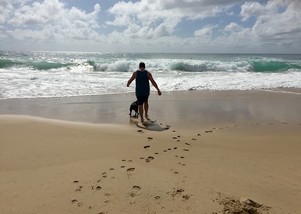 Start living your travel dreams with TrustedHousesitters!