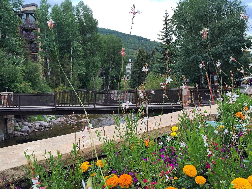 Gore Creek in Vail in summer