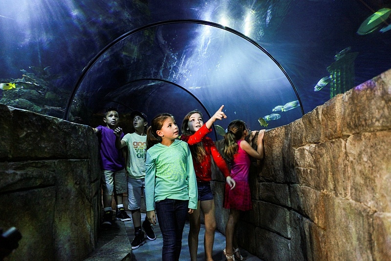 SEA LIFE Aquarium