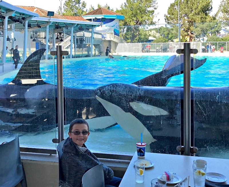 Dine with Orcas is a meal your family will always remember ~ 12 Tips for SeaWorld San Diego with Kids