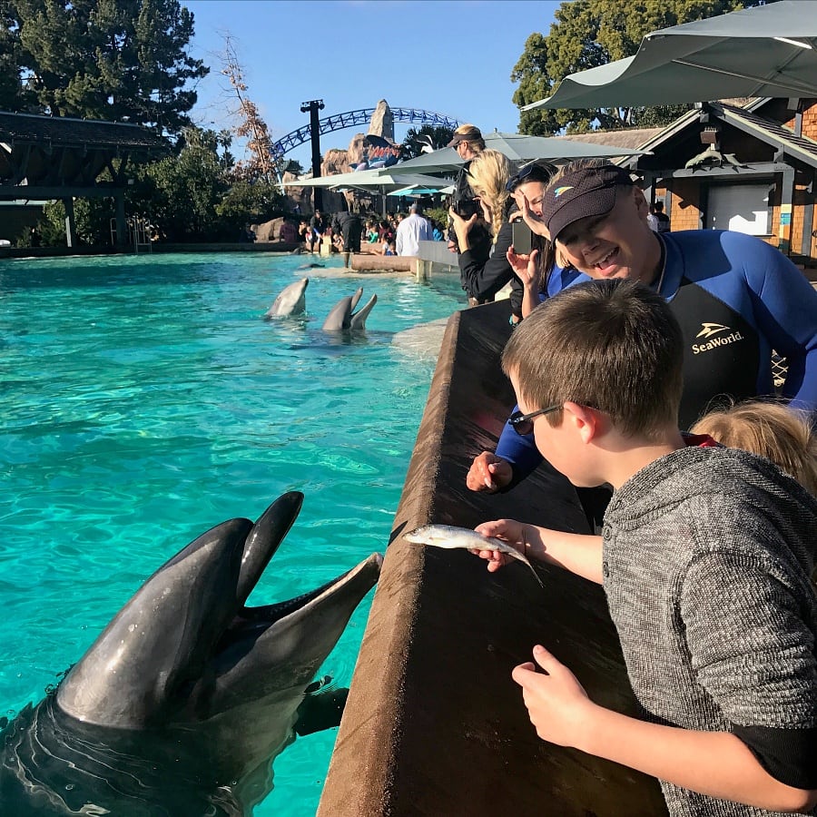 seaworld san diego with kids