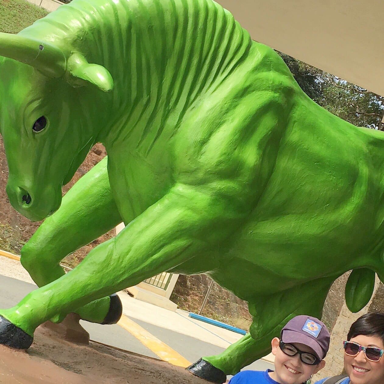 The green bull outside Toro Verde Ecological Adventure Park represents strength, courage and pow