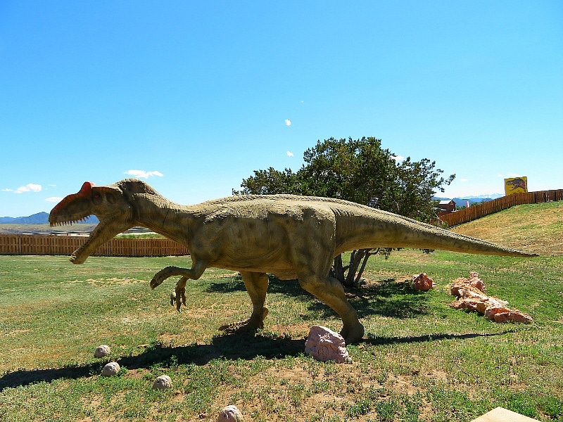 An animatronic T-Rex at Royal Gorge Dinosaur Experience ~ 9 Amazing Adventures in Canon City and Colorado Springs for Families