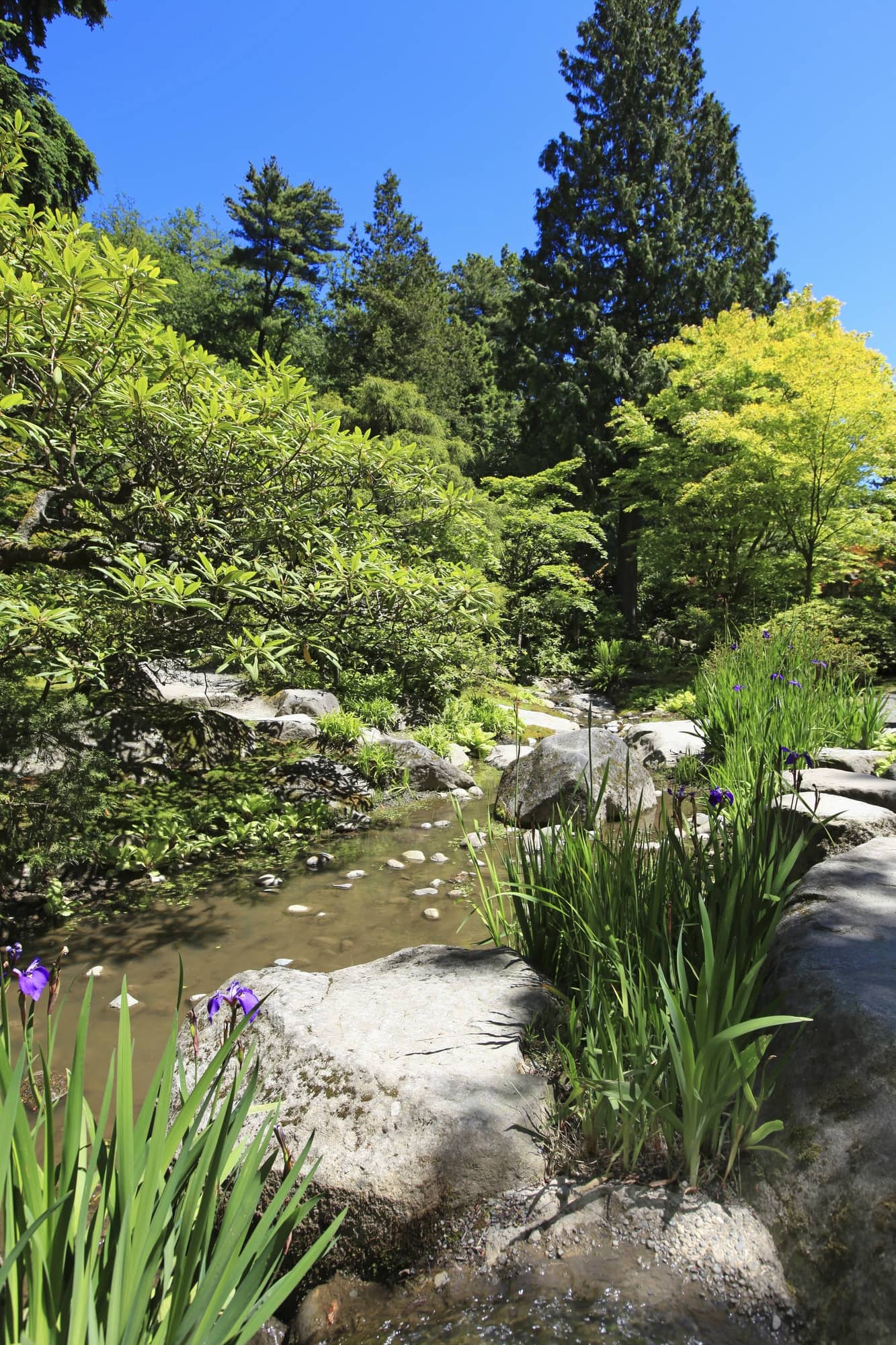 Japanese Garden in Seattle ~ Seattle with Kids