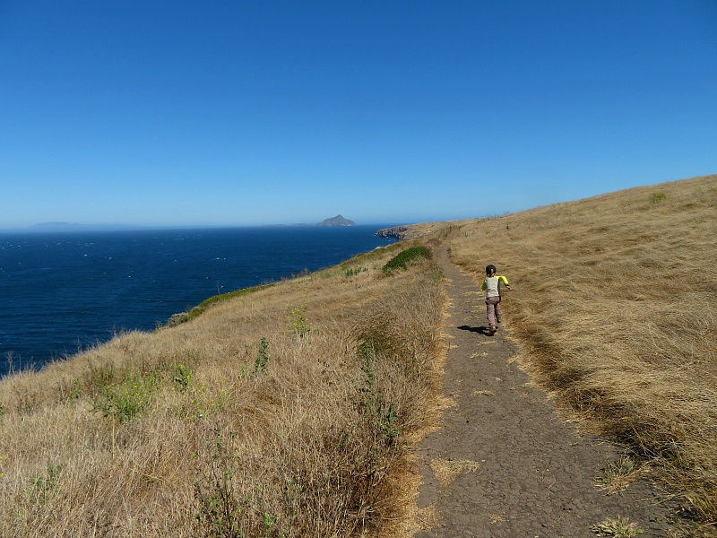 Hiking paths on Santa Cruz Island ~ 7 unique things to do in Ventura County, California with kids