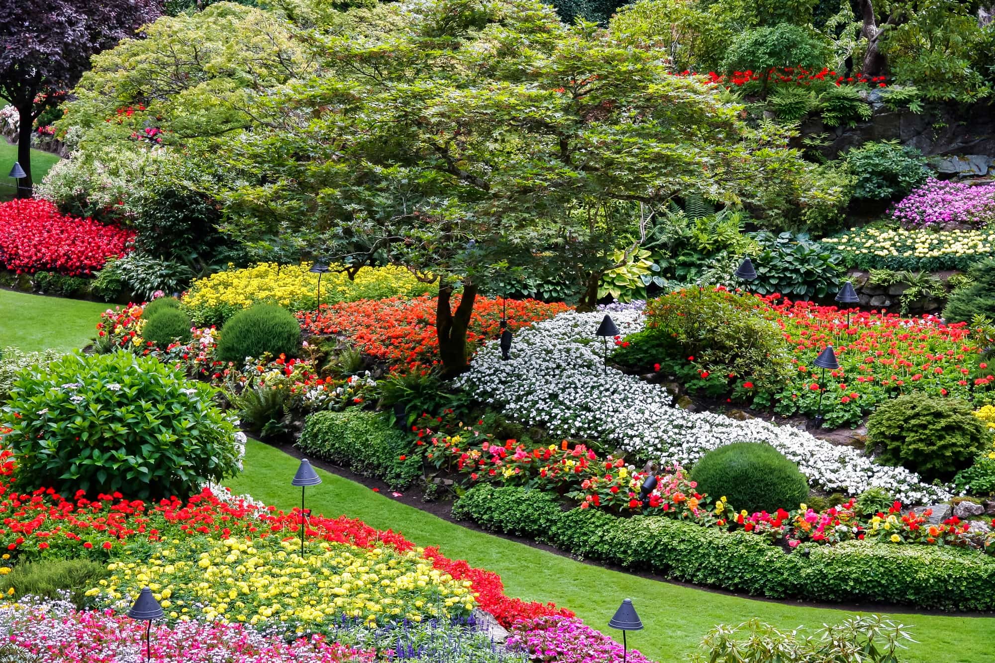 Butchart Gardens on Vancouver Island bursts with flowers in spring ~ 25 Places in Canada Every Family Should Visit