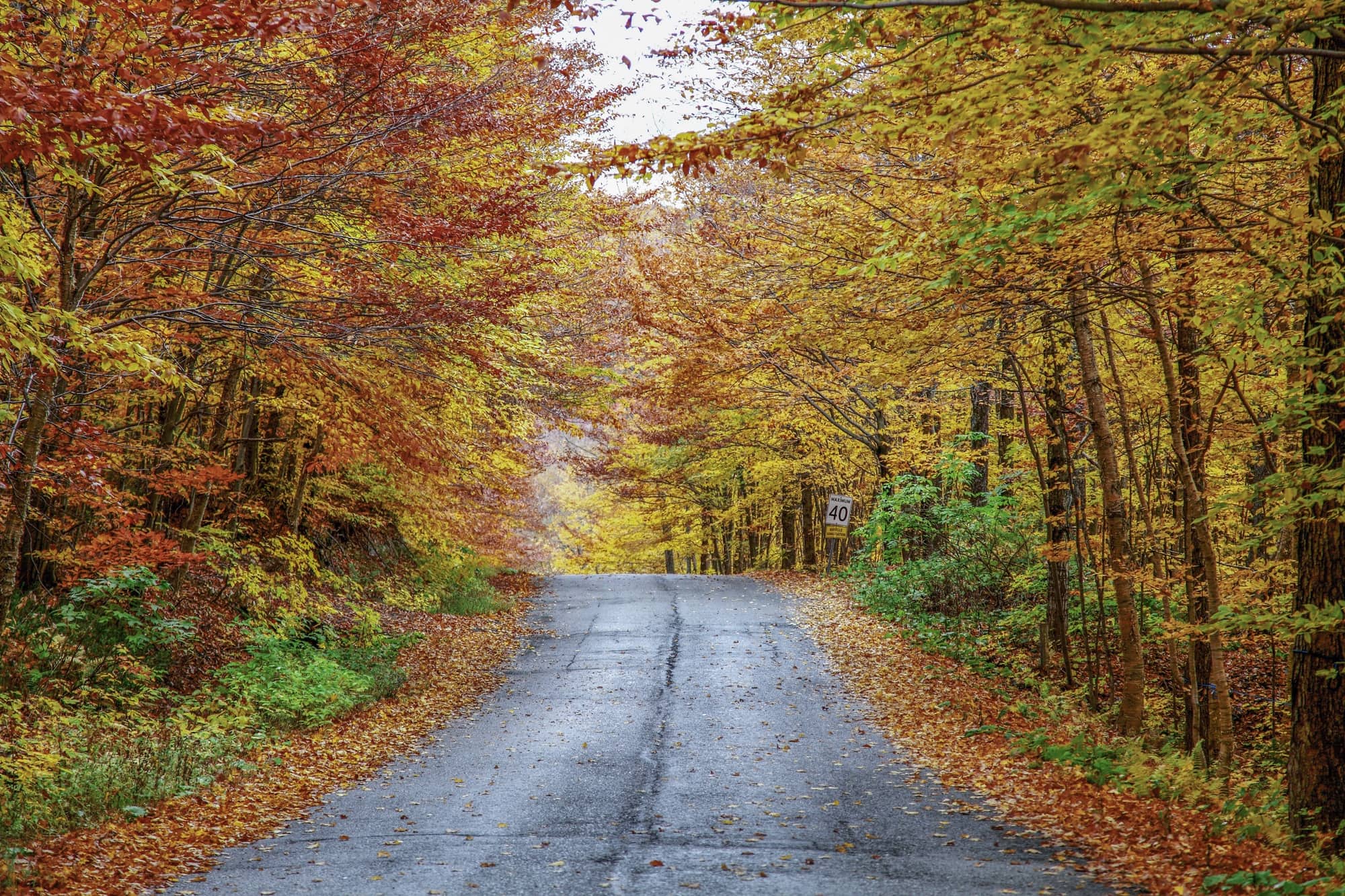 Fall foliage in Quebec ~ 25 Places in Canada Every Family Should Visit