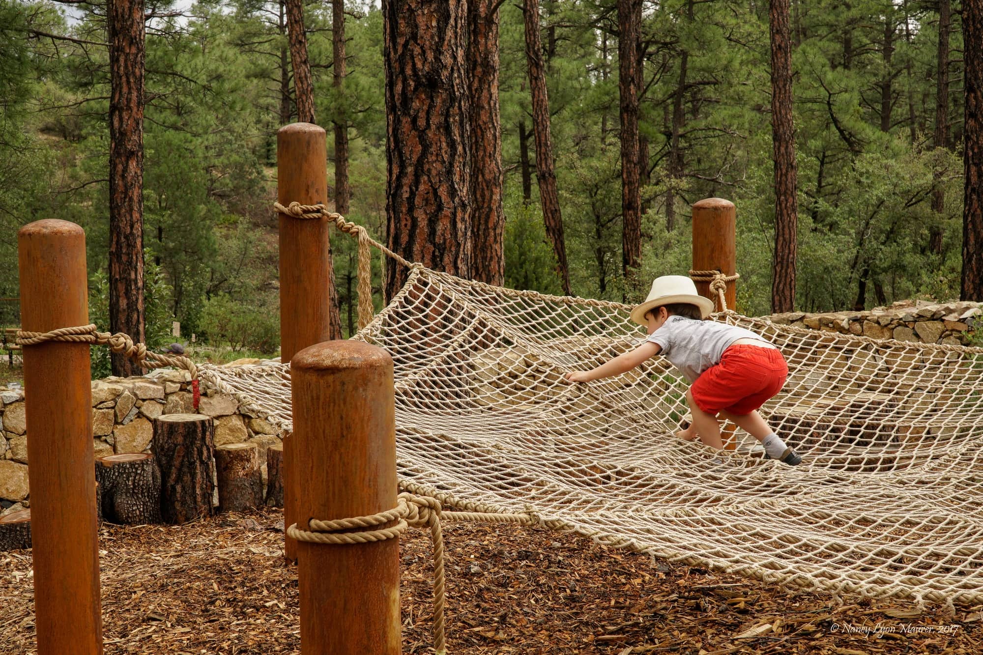 James Family Discovery Gardens at the Highlands Center in Prescott