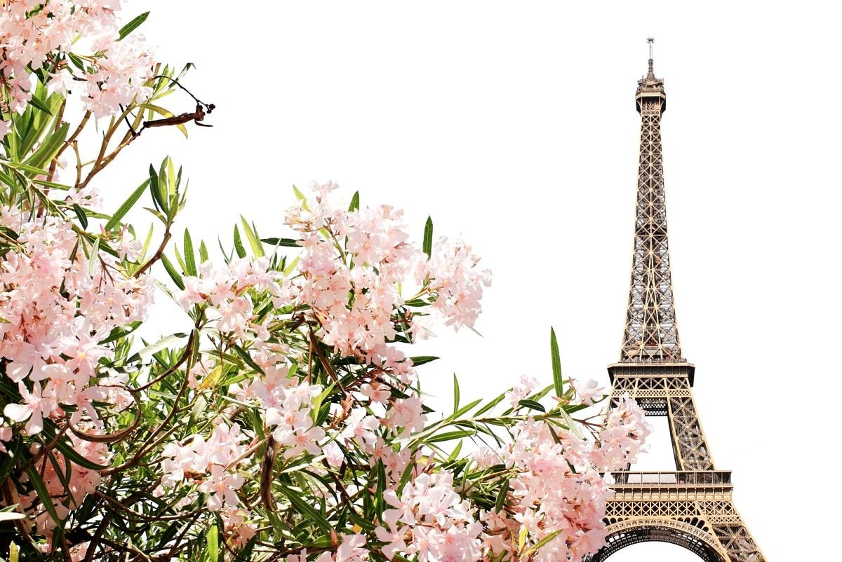 Eiffel Tower in Paris, France