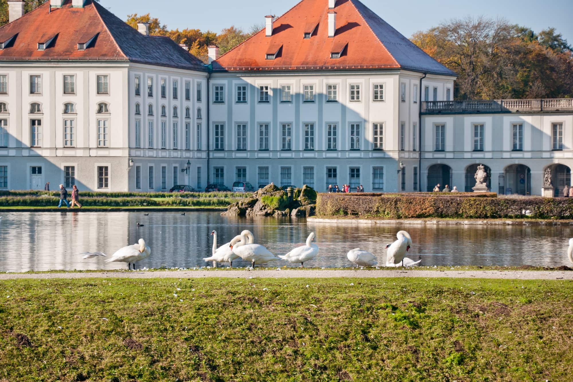 Swans at the pond near famous Nymphenburg Palace in Munich with kids