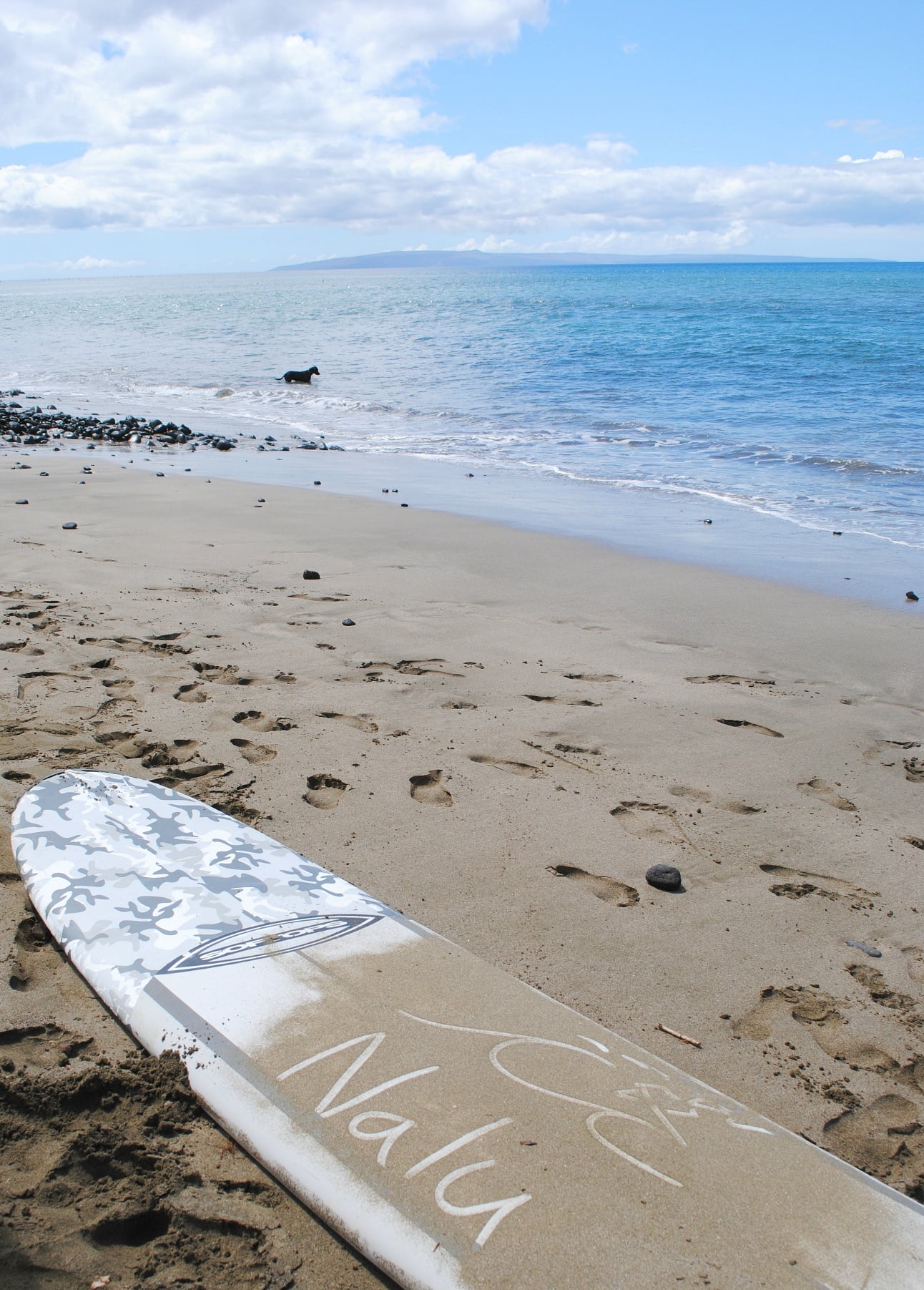 "Nalu" means wave in Hawaiian ~ Kaanapali with kids