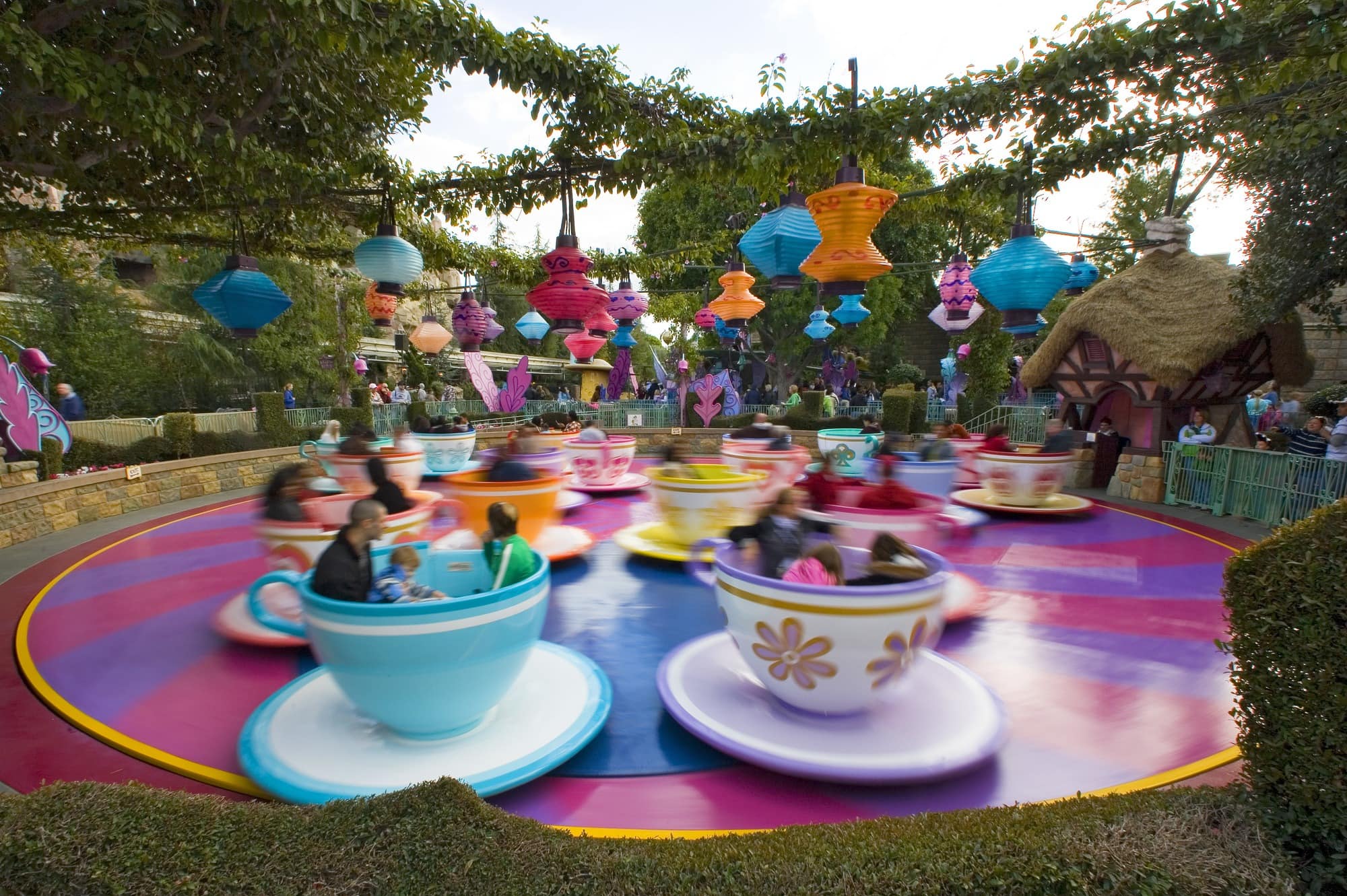 Use physics to understand the centrifugal and centripedal forces at work on the Mad Tea Party ride ~ Educational Things to Do at Disneyland with Kids